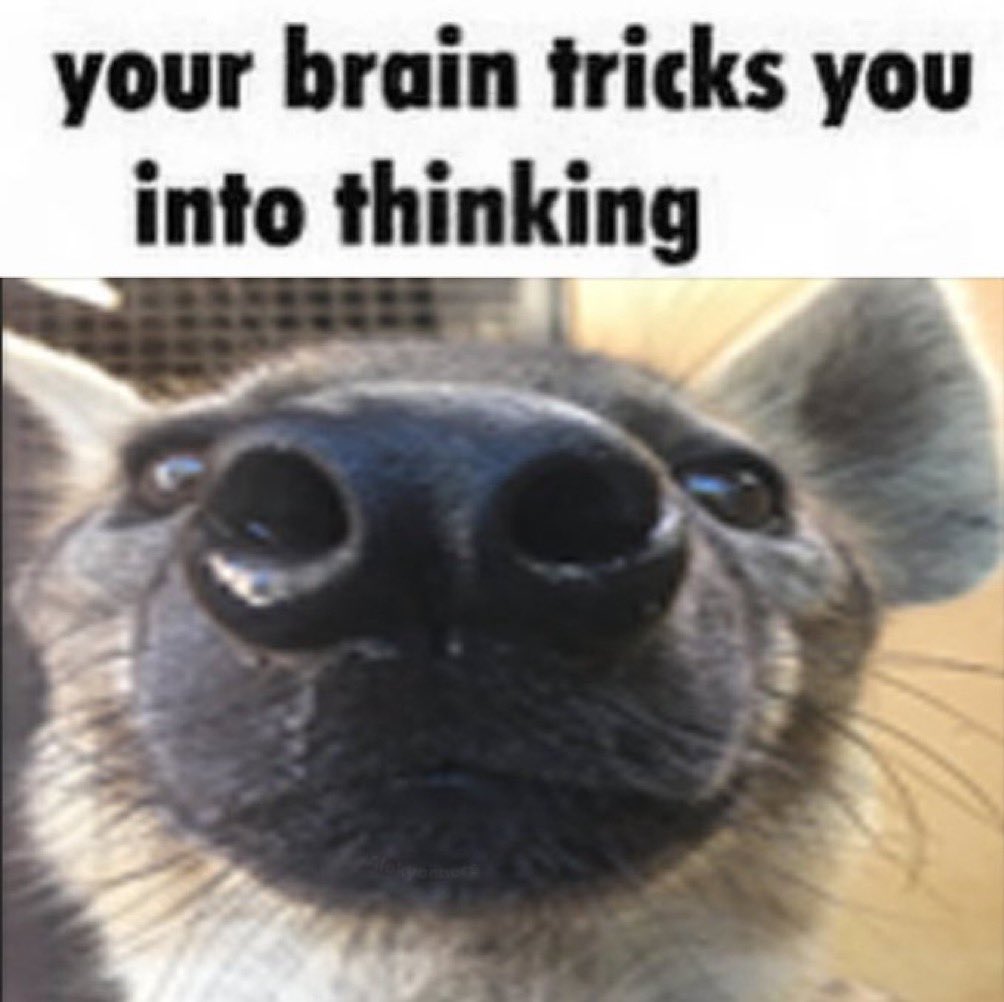 Limbo ⛤ tweet media