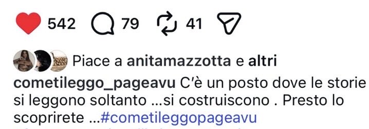 lisa cat 🐈⬛ tweet media