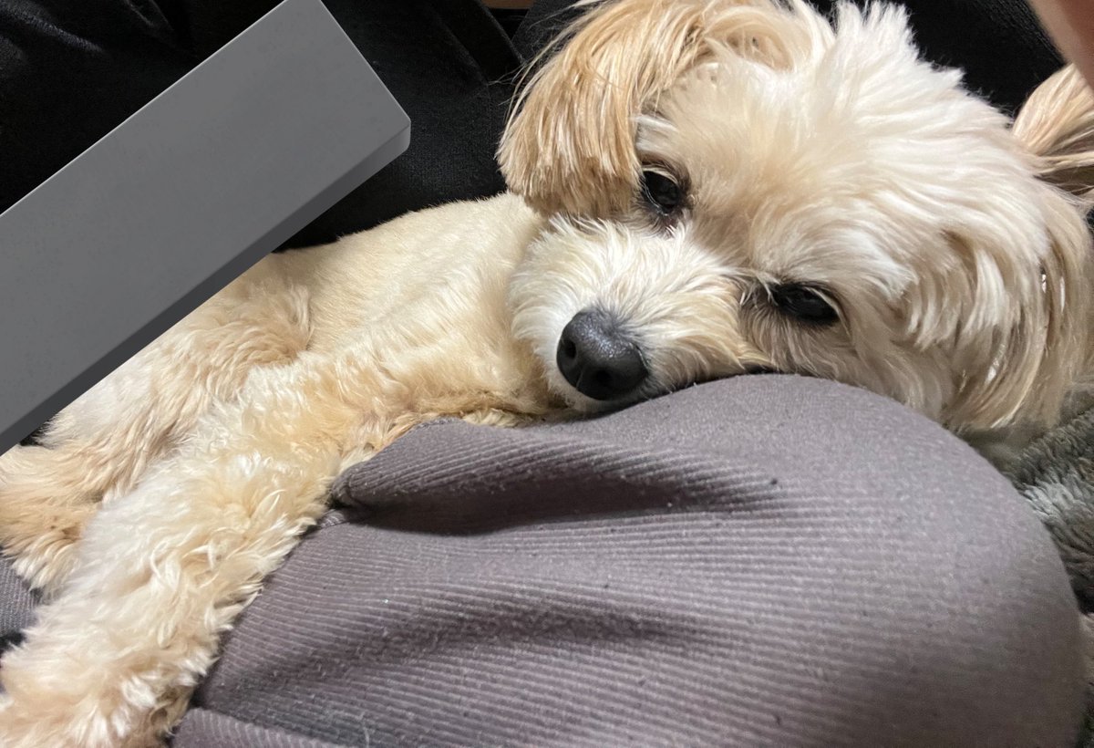 𝙉𝘼𝙍𝙐 ¨̮⃝ tweet media