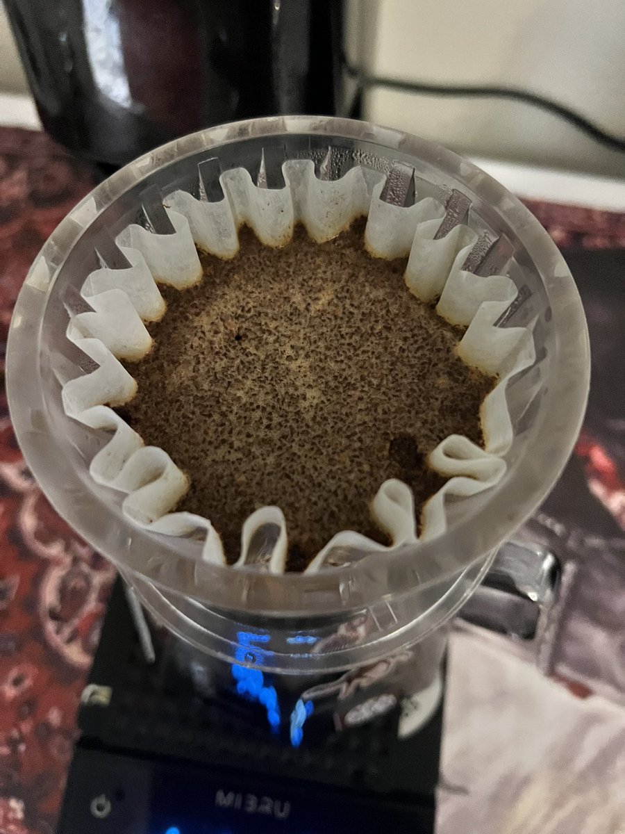 مُش طارق tweet media