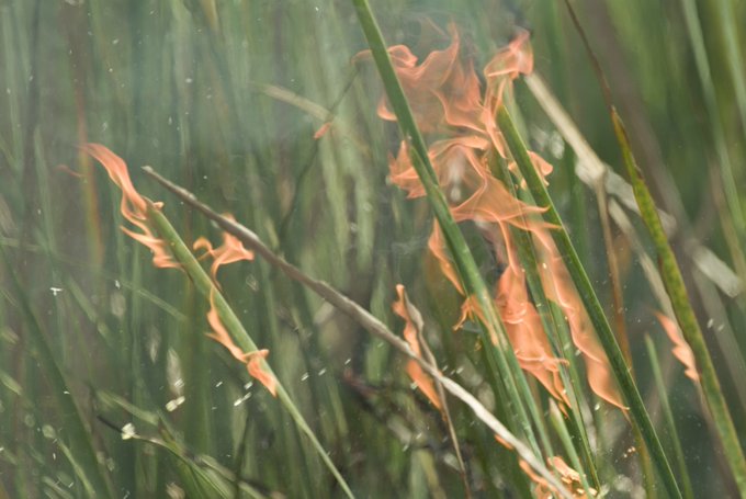 South Florida Water Management District tweet media