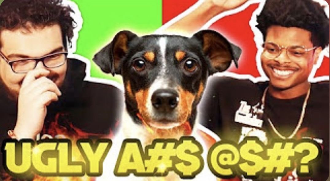 👀🎣 tweet media