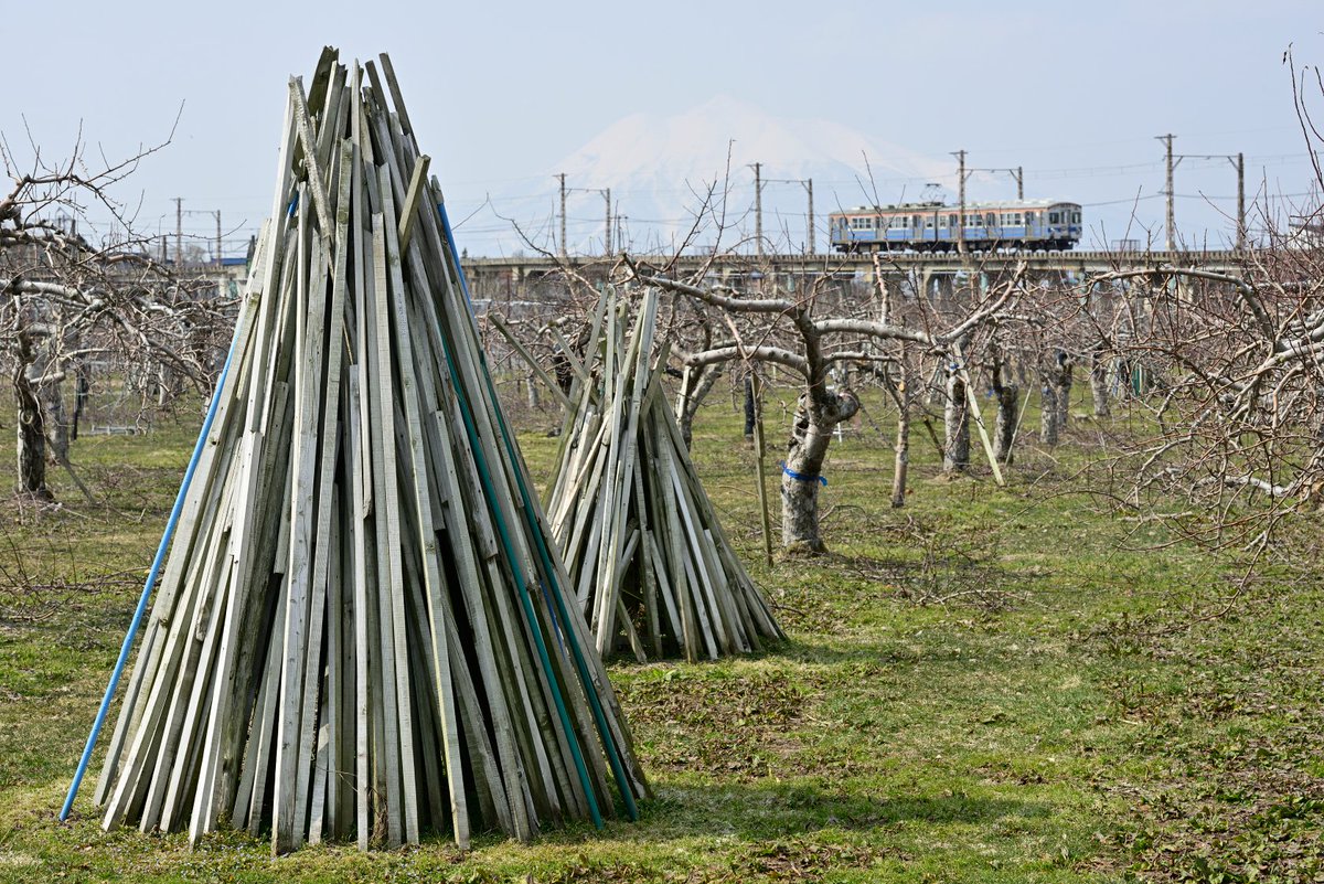 丸目 多聞 tweet media