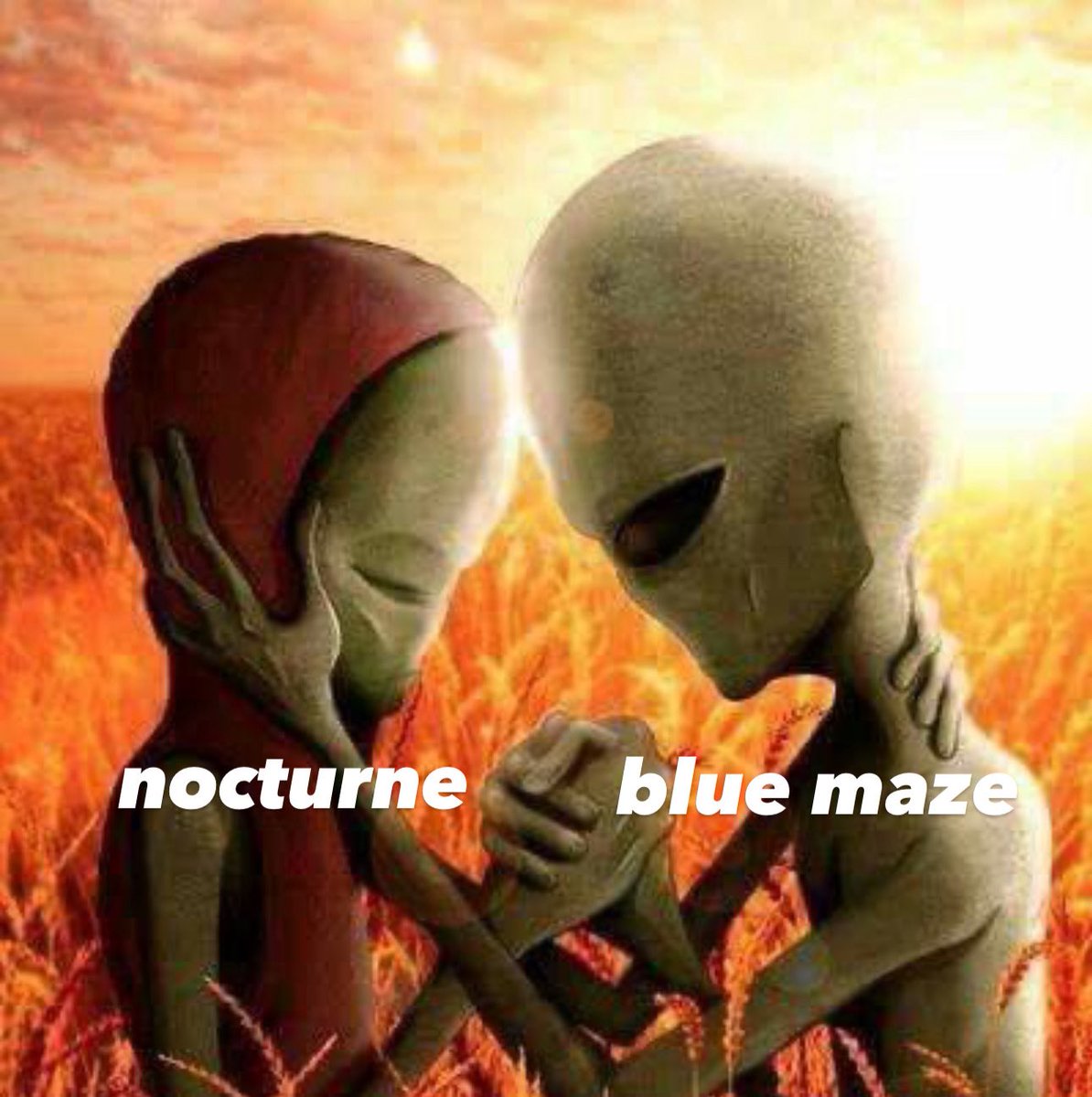 katie🍦 tweet media