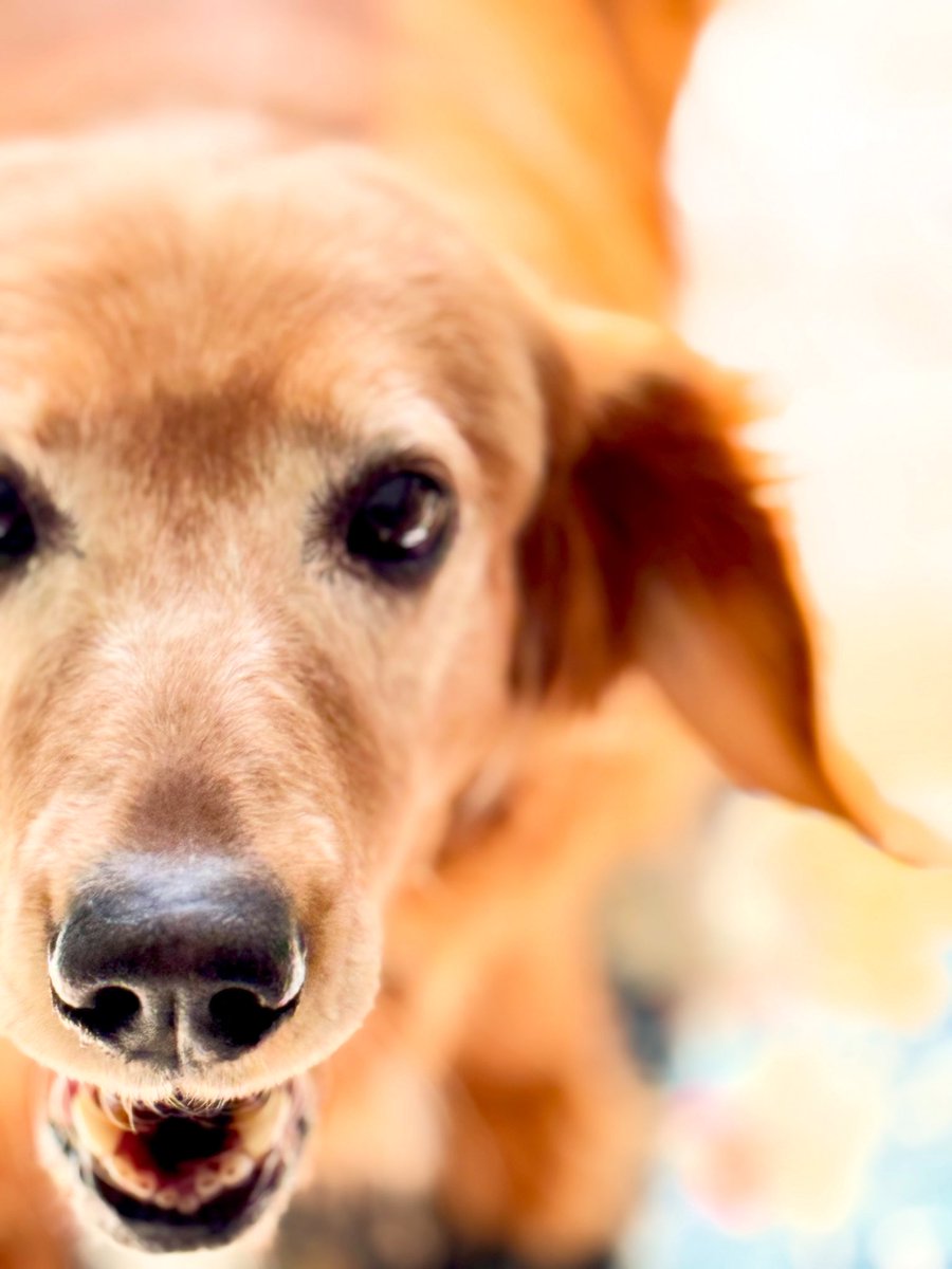 Fat Gandalf tweet media