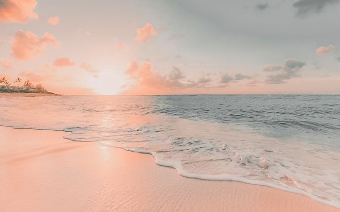 tokoriki tweet media