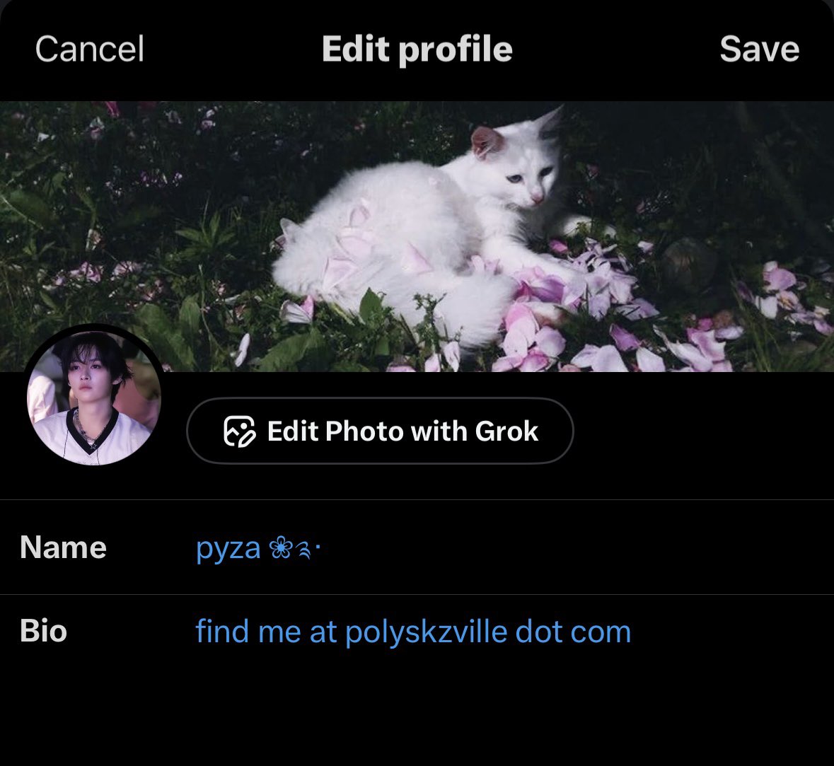 pyza ❀༉‧ tweet media