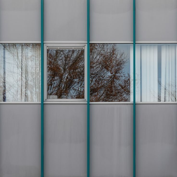 ماري tweet media