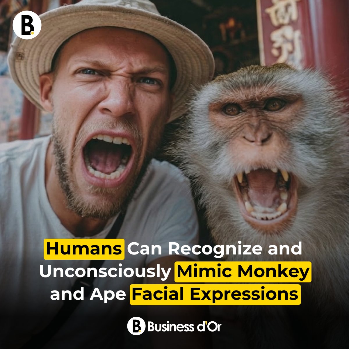 Business d'Or tweet media