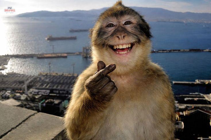 SELFOL ONLY! tweet media