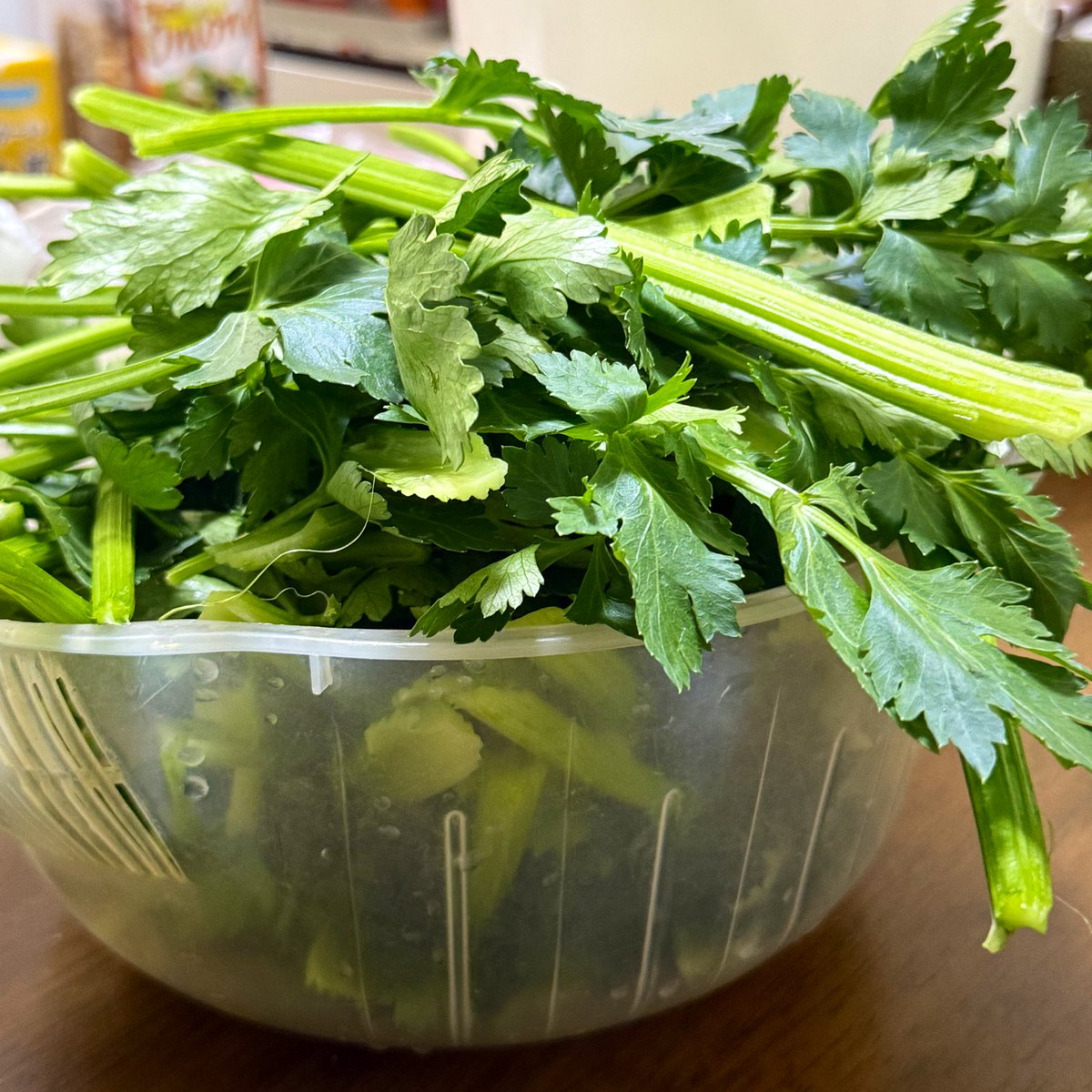 吉田家野菜大好きすぎ
セロリ2人前