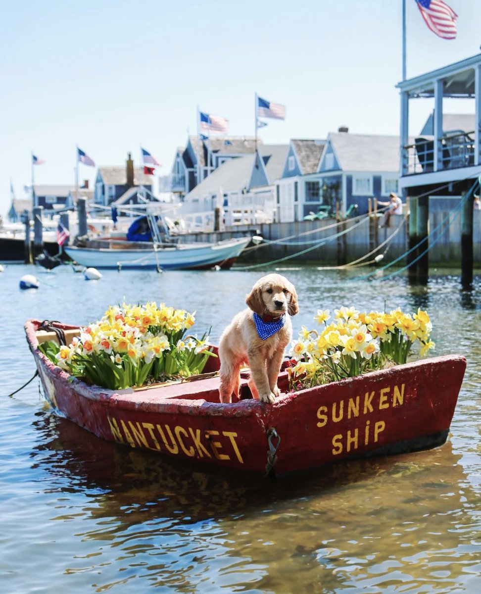 ▼ Kiel James Patrick tweet media