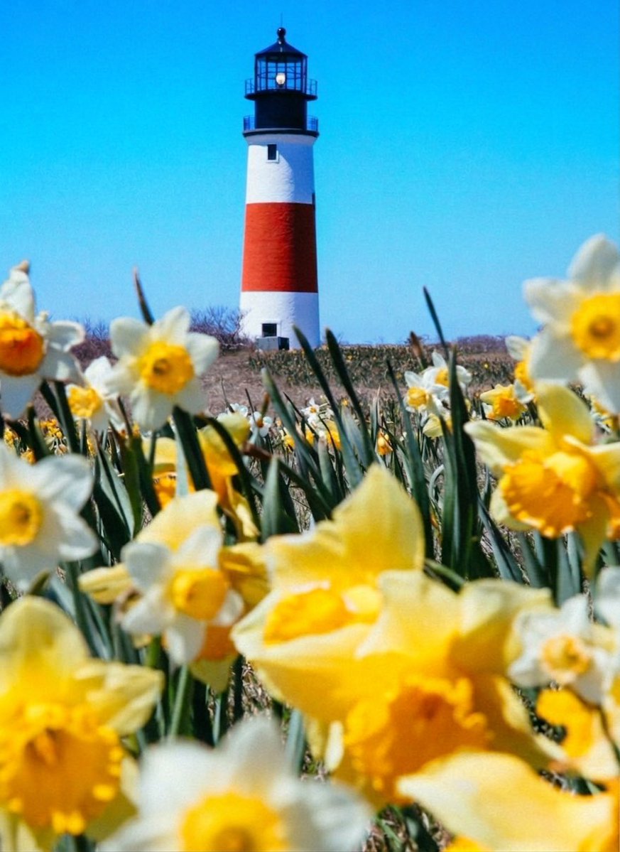 ▼ Kiel James Patrick tweet media