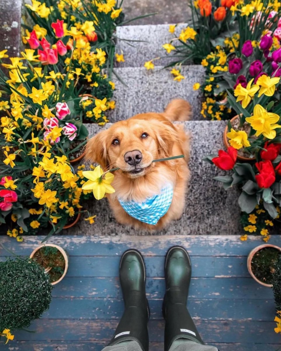 ▼ Kiel James Patrick tweet media