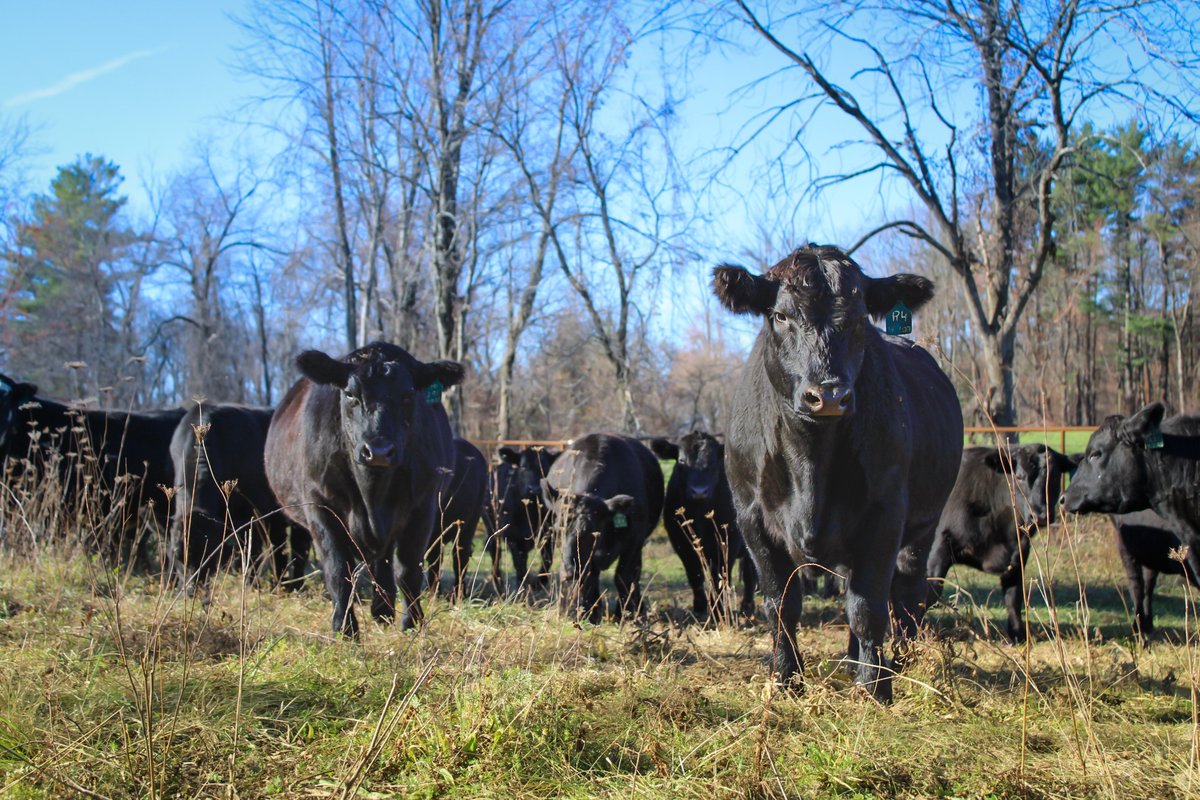 Farm Credit East tweet media