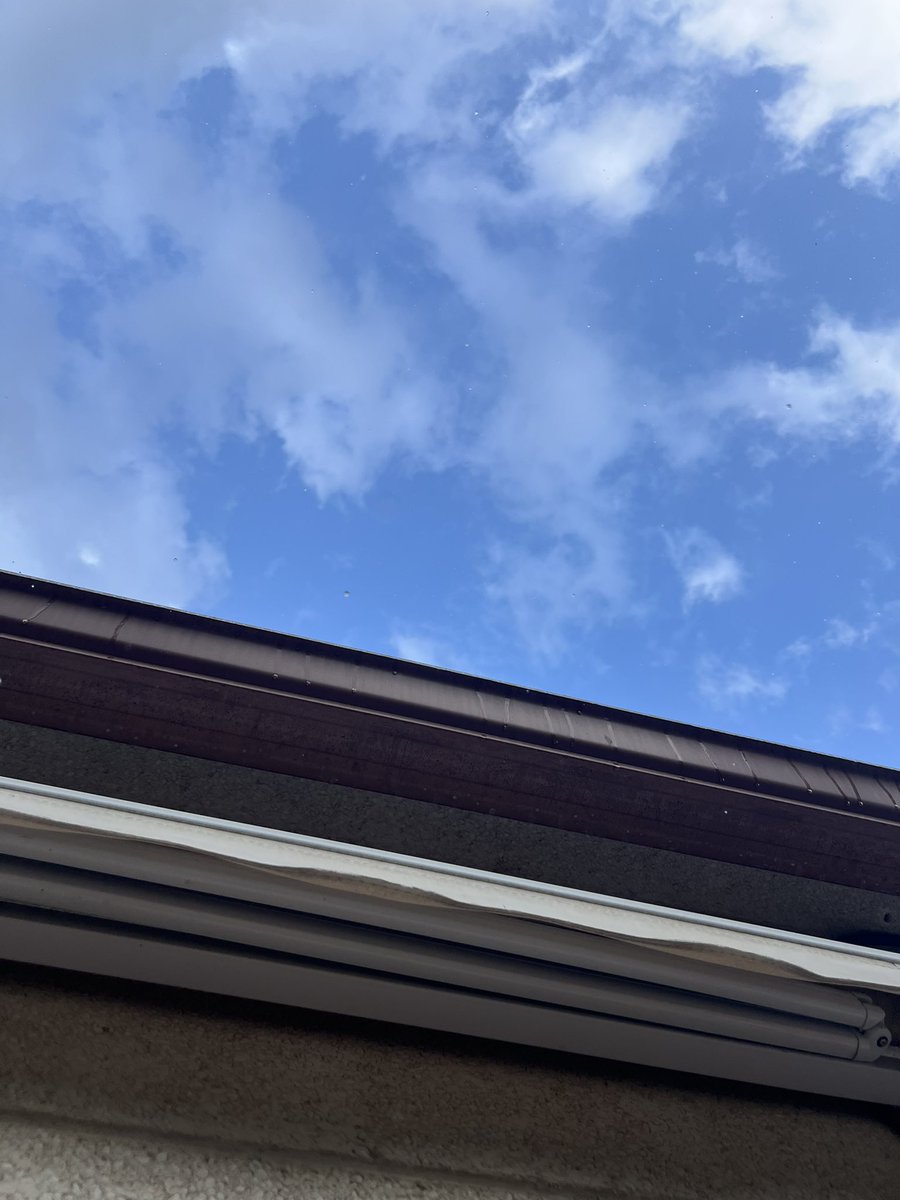 BcnSpotter🛫 tweet media