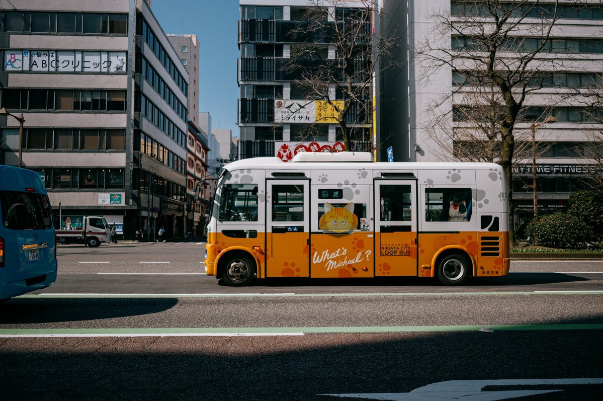 hirokiPhoto tweet media