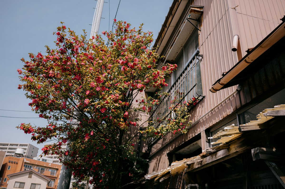 hirokiPhoto tweet media