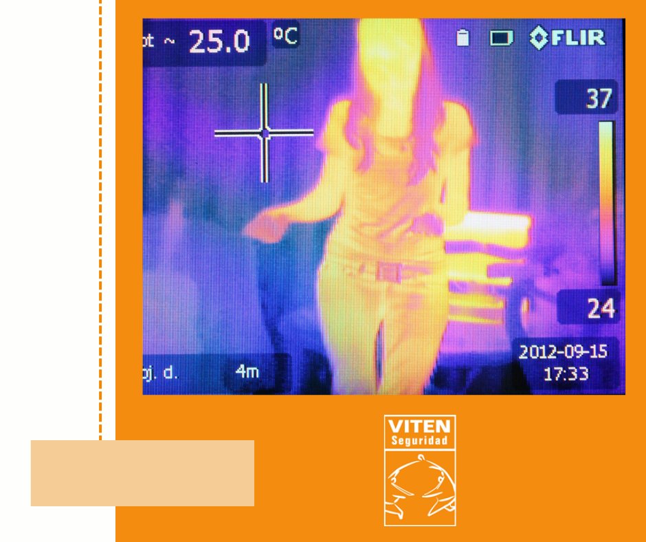 Viten Seguridad tweet media