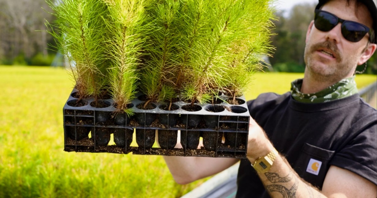 Consulting Arborists tweet media