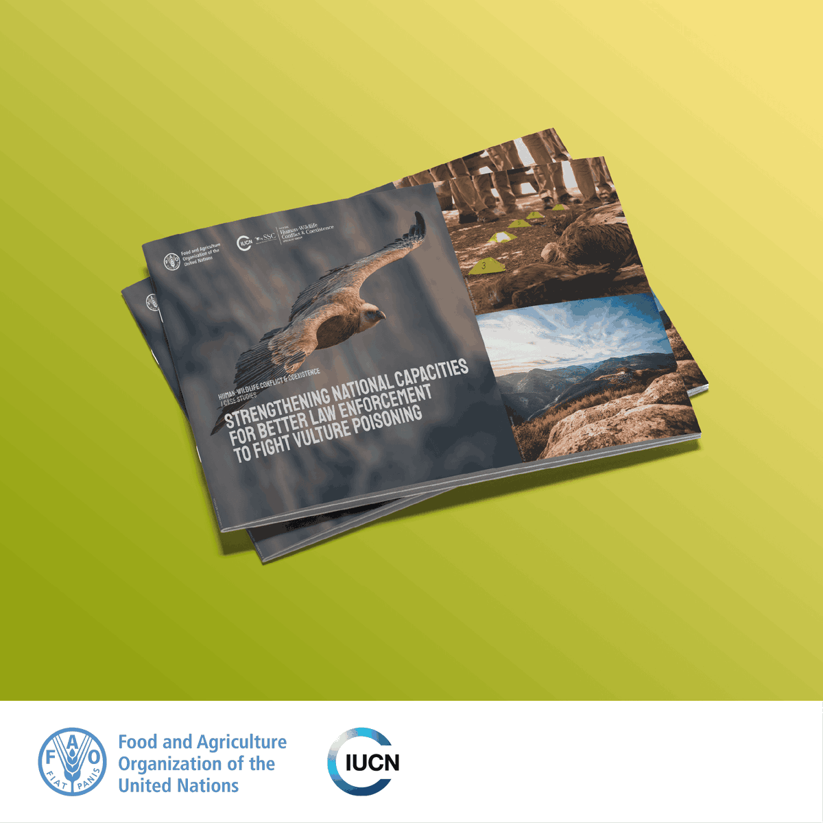 FAOForestry's tweet photo. A new @FAO and @IUCN case study on human-wildlife conflict &amp; coexistence is out now - just in time for #CMSCOP15 kicking off today!

📢 Strengthening national capacities for better law enforcement to fight vulture poisoning

👉 https://t.co/q4LvS4sAh1

@IUCNssc @hwctf @4Vultures https://t.co/k5hyGInunQ
