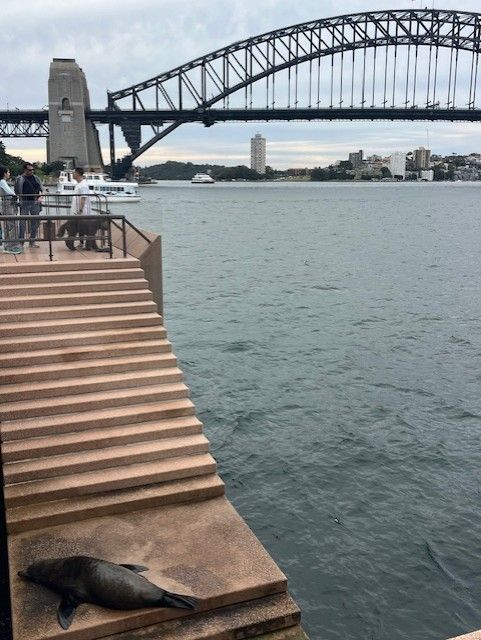 LydiaCLee tweet media