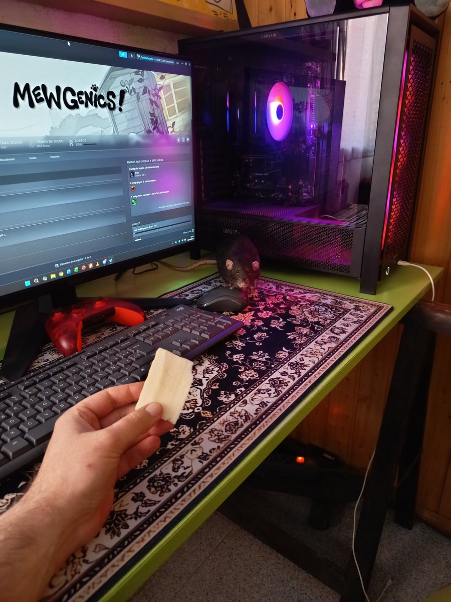 Terribleibeache el terrible. tweet media