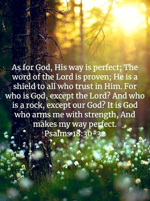 Psalm 18:30-32
As for God, His way is perfect: the word of the Lord is tried: He is a buckler to all those that trust in Him. 31 For who is God save the Lord? or who is a rock save our God?
32 It is God that girdeth me with strength, and maketh my way perfect.