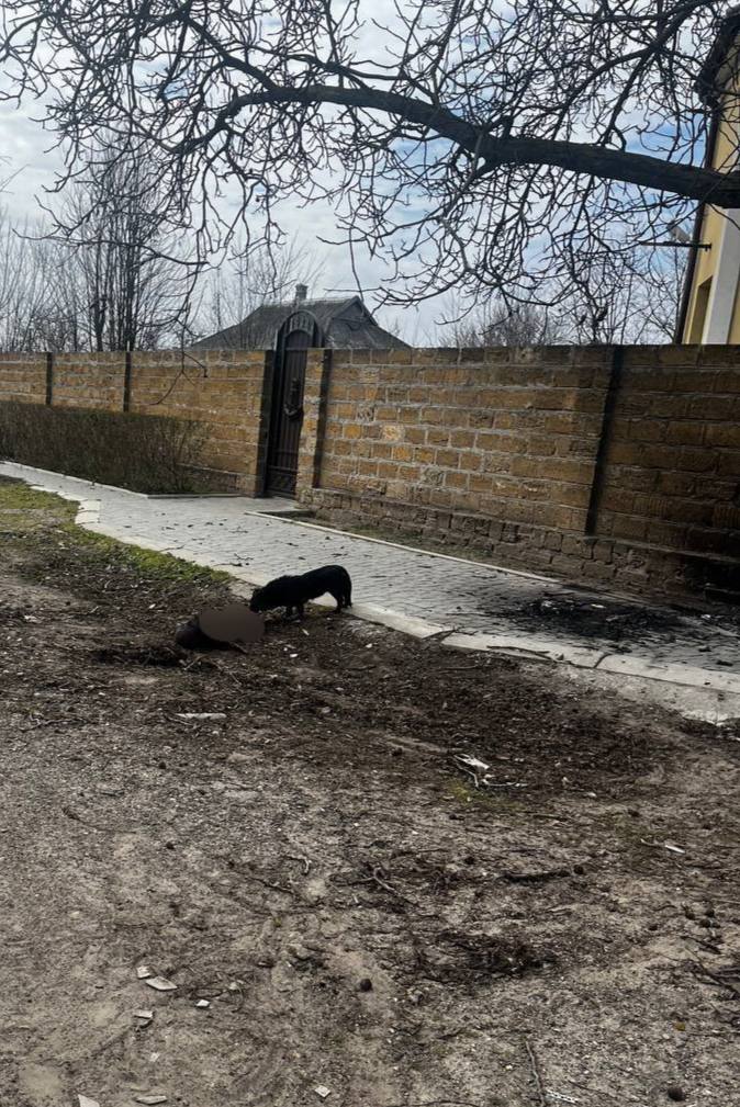 UAVoyager🇺🇦 tweet media