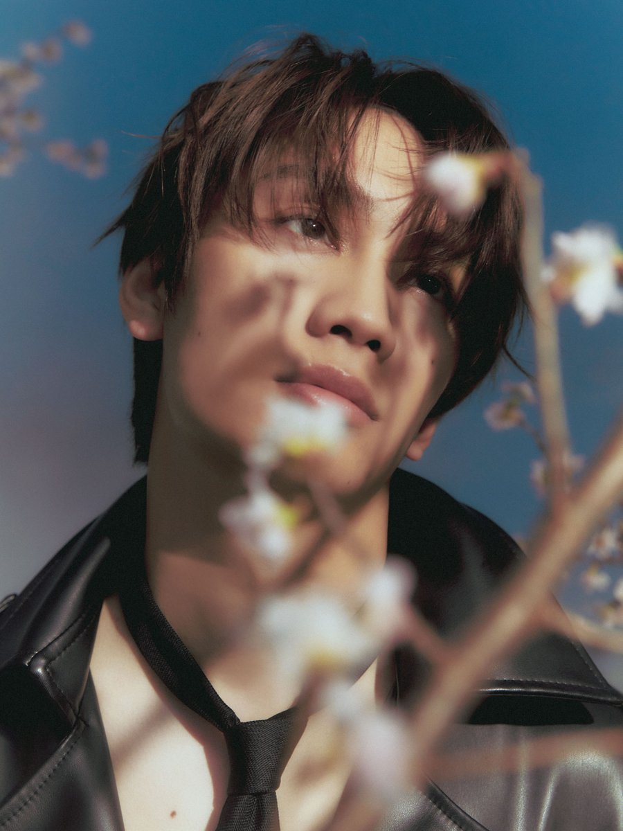 BARFOUT! バァフアウト！ tweet media