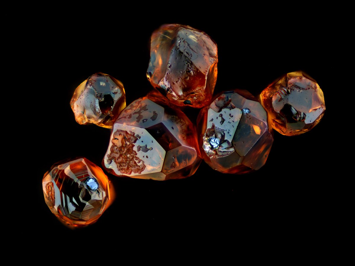 ちむら tweet media