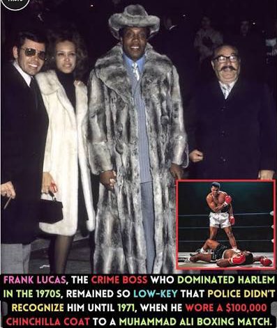 Abud Bakri MD tweet media