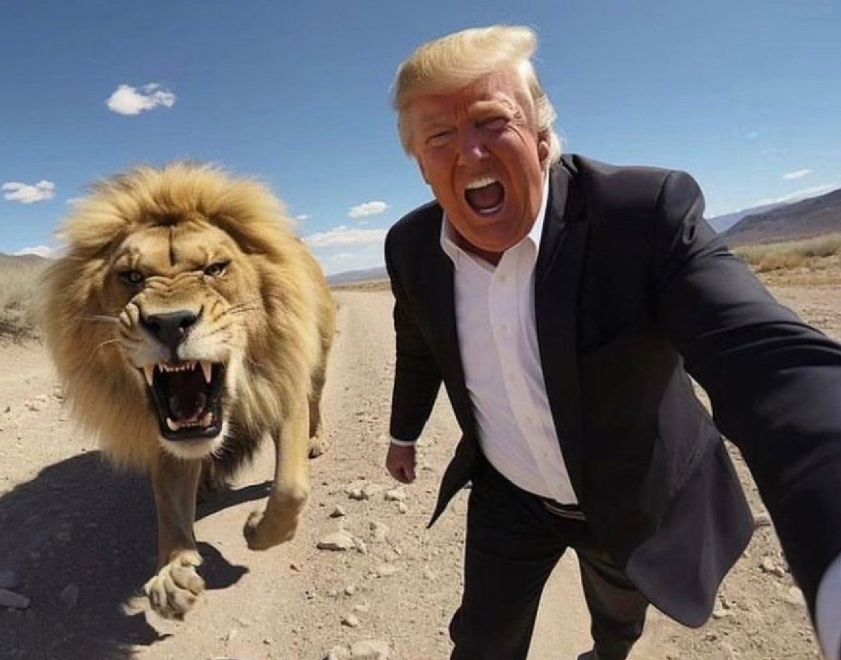 TheMastiffMafia tweet media