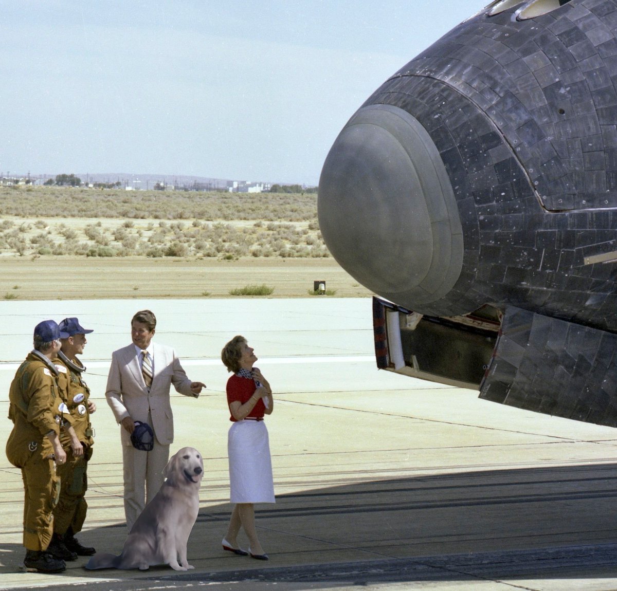 Unimpressed_Pixy tweet media