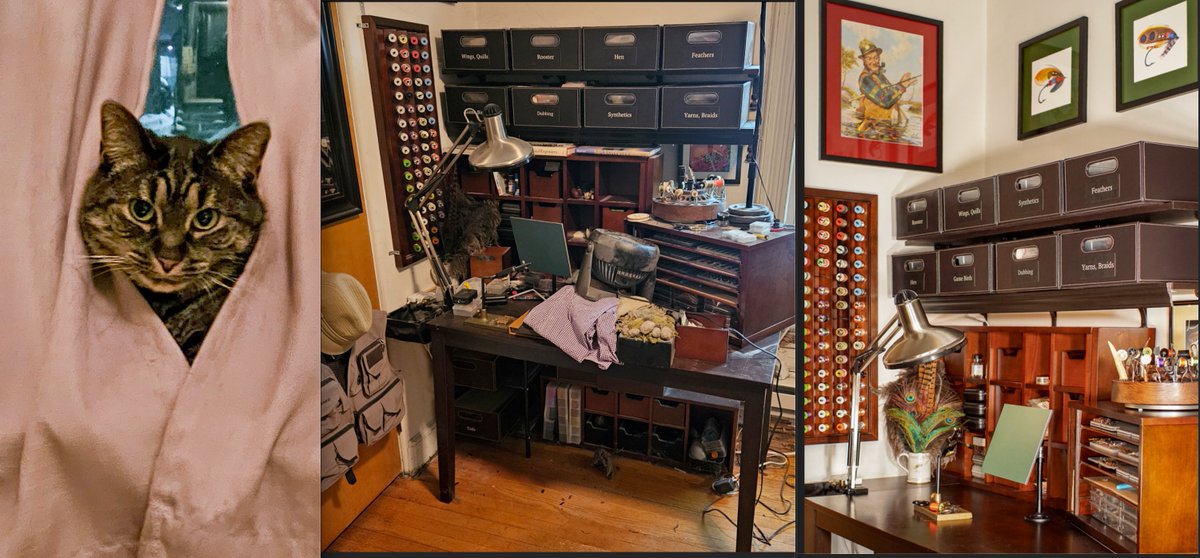 Mark Salkowitz tweet media