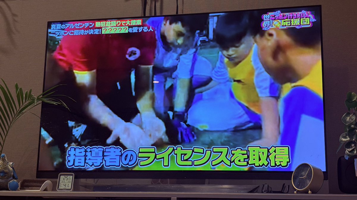 ミルフィーノ tweet media