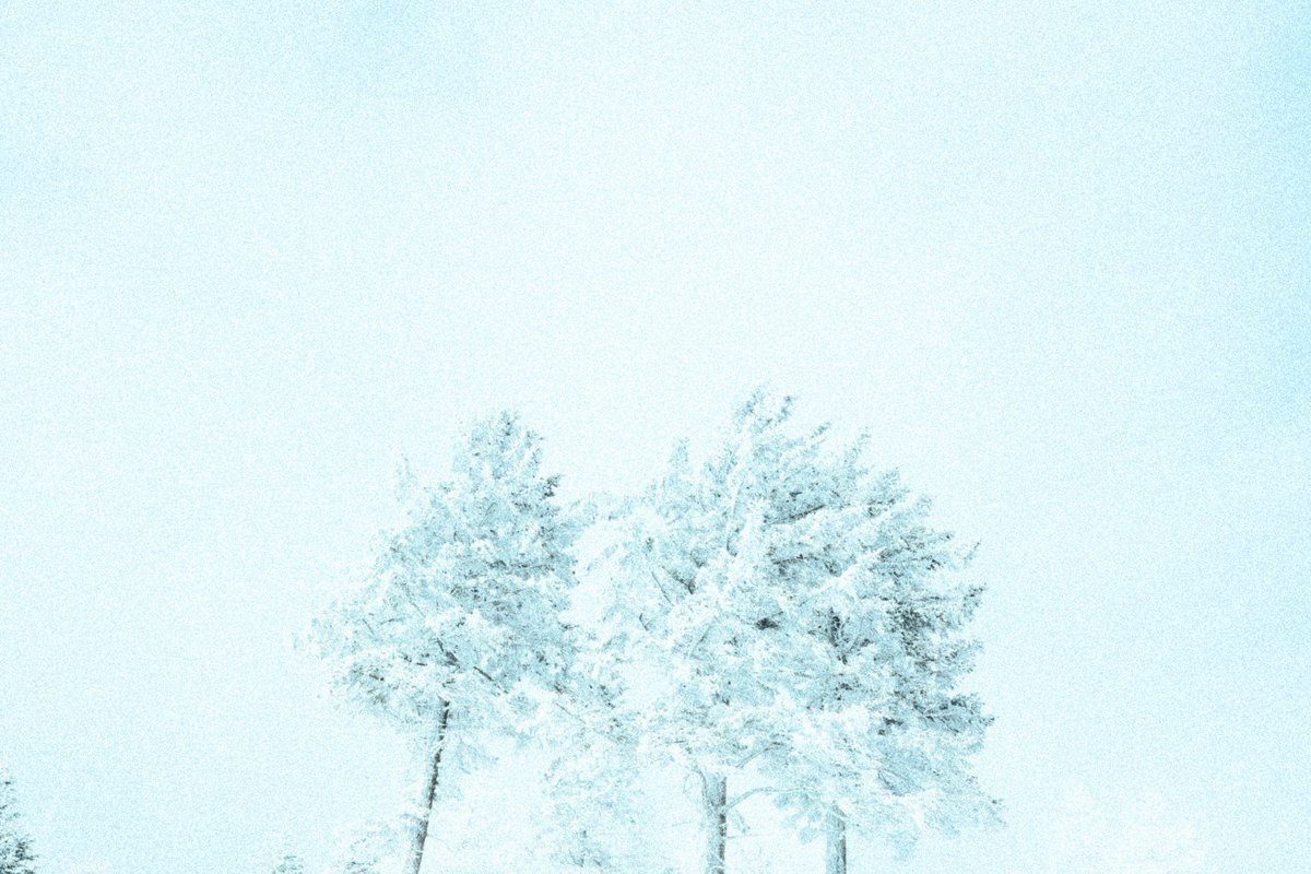 Kazu Fujisawa✴︎3月ニコンプラザトークイベント！ tweet media