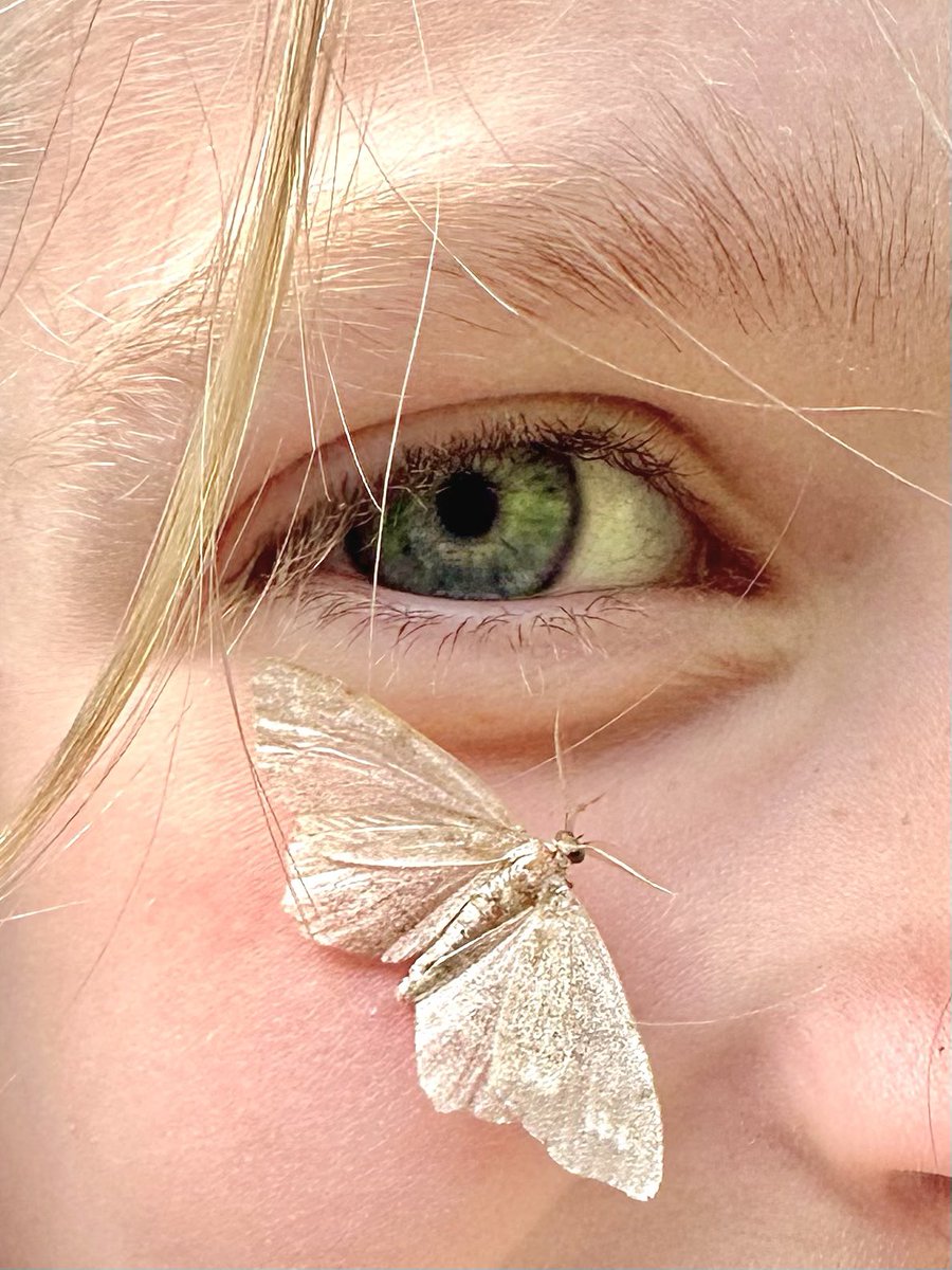 Mandy Simard tweet media