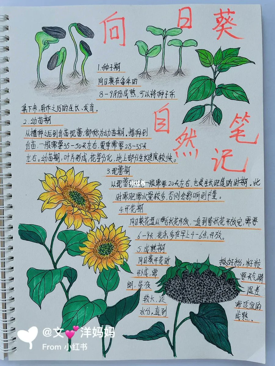 Lightning tweet media