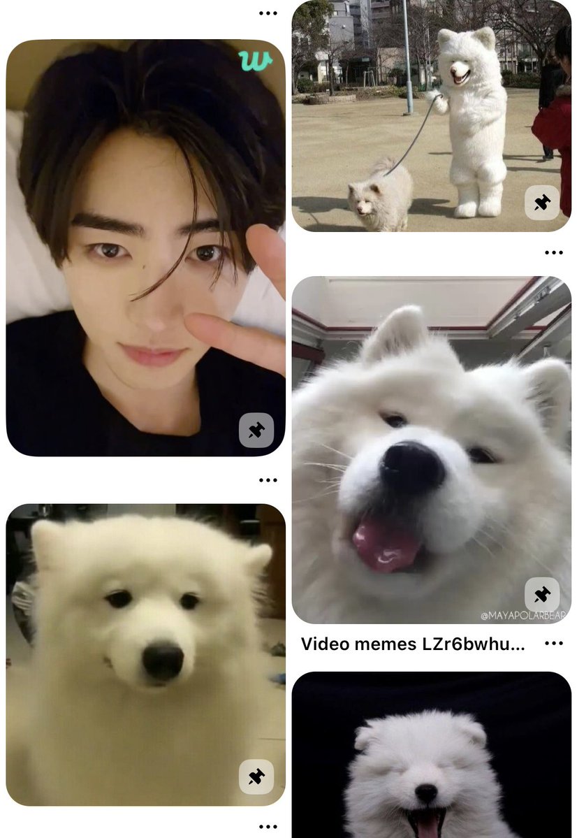 사천.. tweet media