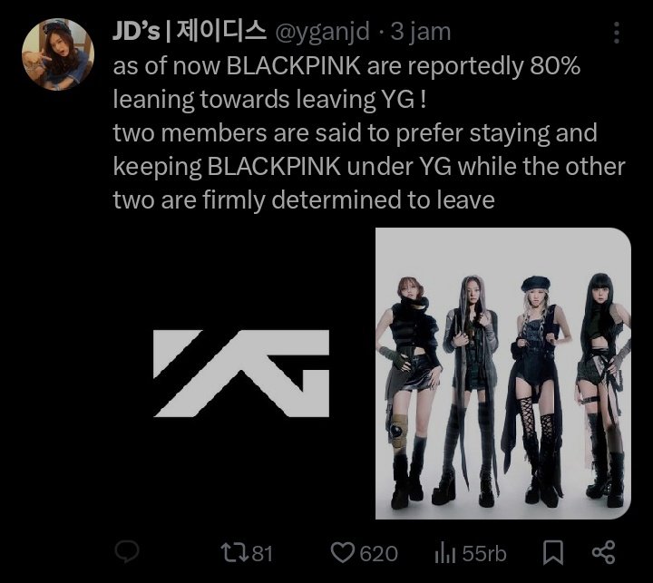 BLINK STRUGGLE tweet media