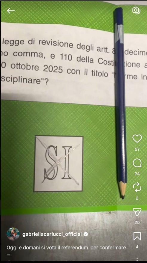 ANGRY BIRD tweet media