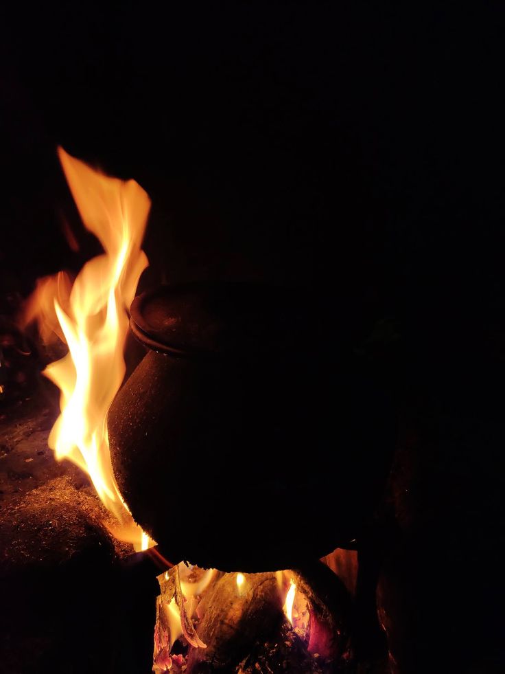 ElarethSun tweet media