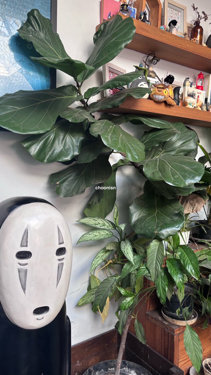 elle 🎐 tweet media