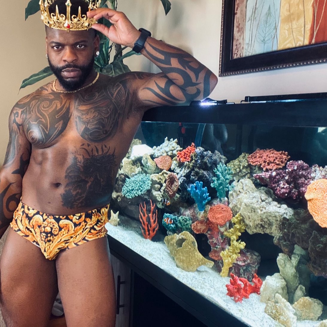 Jacobi_DSP tweet media