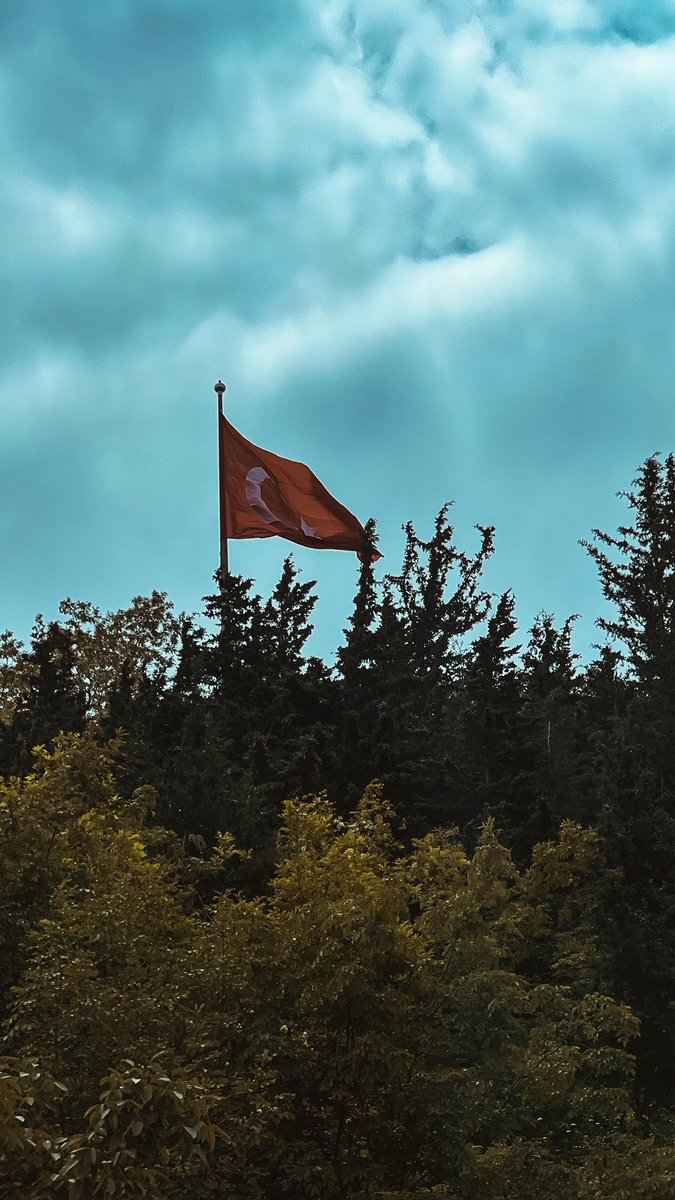 تركي الحربي tweet media