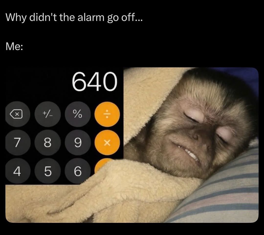 justasistertryingtotweet tweet media