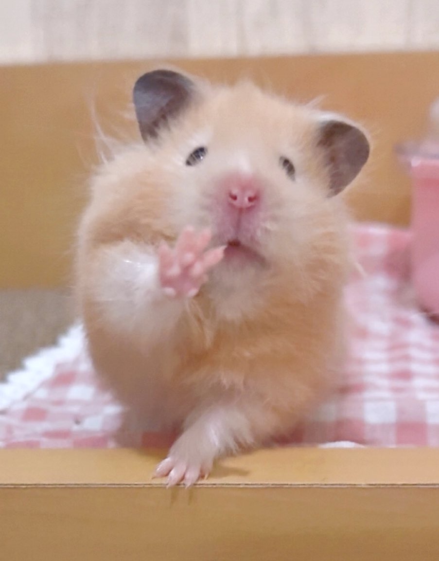 ♡りび♡ tweet media