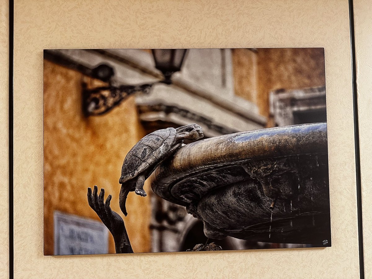 max_shining tweet media