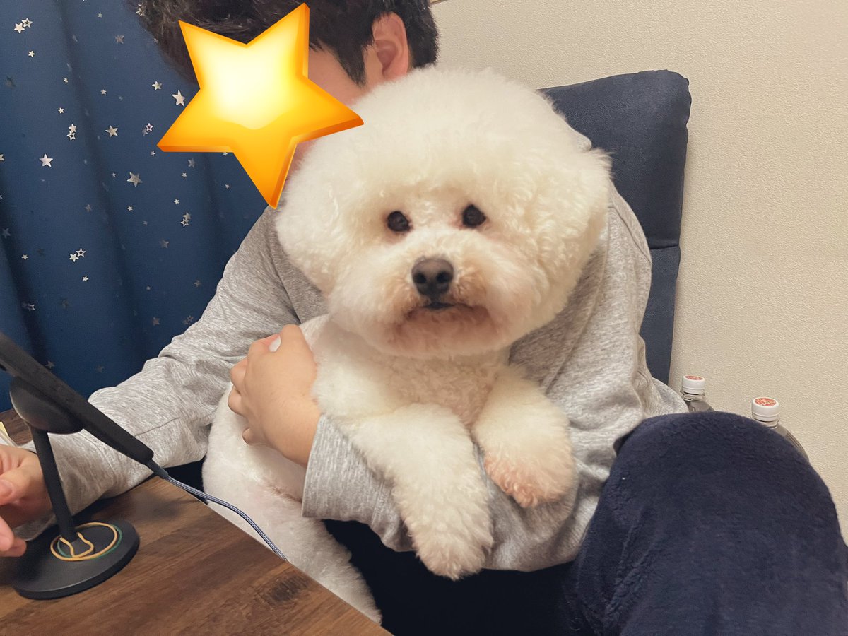 ながのん！ tweet media